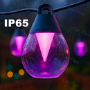 Outdoor Clear Bulb String Lights RGBICW Color Changing LED Patio Lights for Backyard/Balcony