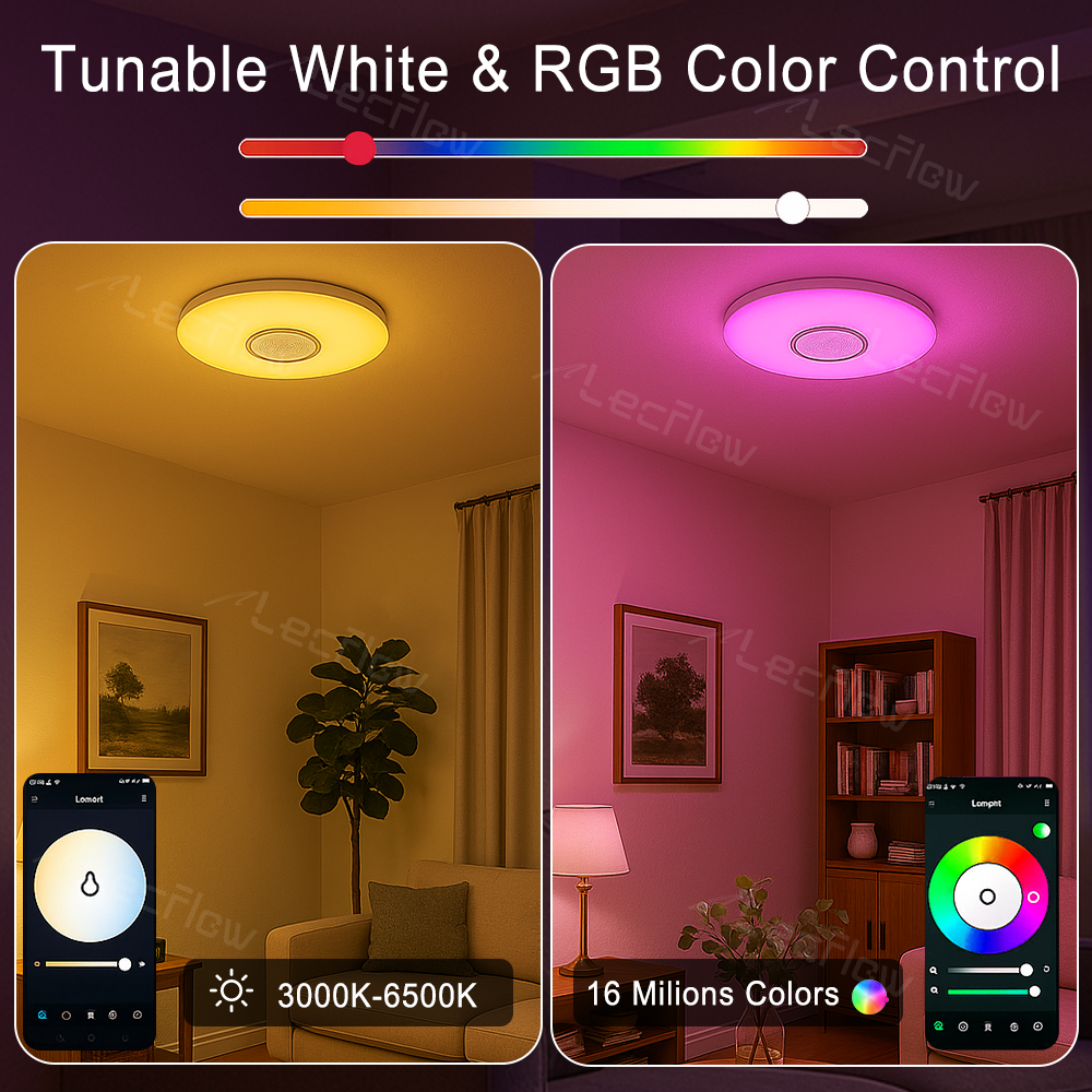 12-Inch RGBWW + RGBIC Ceiling Lights with Speaker Dimmable Lighting