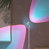 Adjustable Sunset Projector Light Double-sided LED Floor Lamp for Living Room/Bedroom Decor