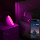 Portable RGBCW Dimmable Table Lamp LED Color-Changing Bowl Night Light Bedside Lamp for Bedroom/Kids’ Room
