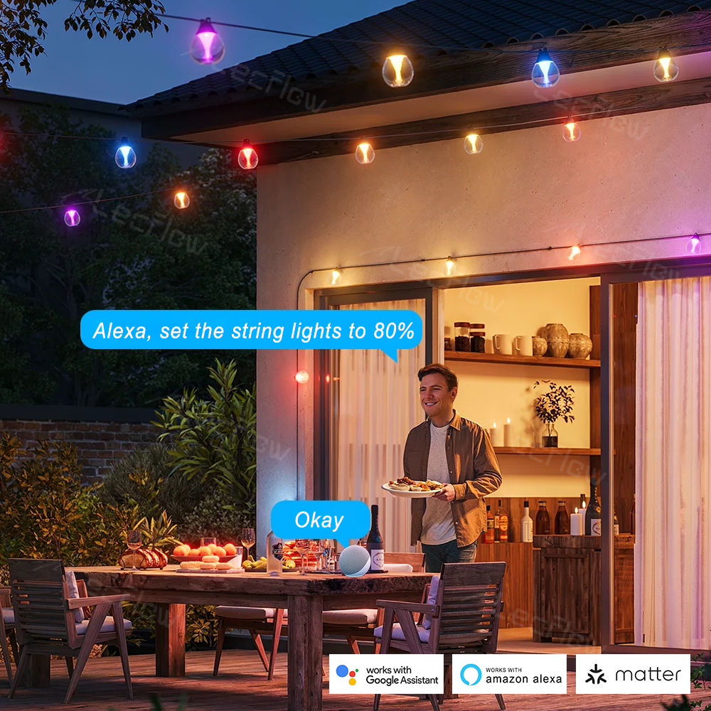 Outdoor Clear Bulb String Lights RGBICW Color Changing LED Patio Lights for Backyard/Balcony