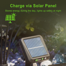 Outdoor Solar Garden Lights Waterproof Solar Swaying Light for Yard/Pathway/Landscape
