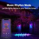 Smart RGBIC Wall Lights Outdoor DIY Lighting for Yard & Garden Decor 2 Pack